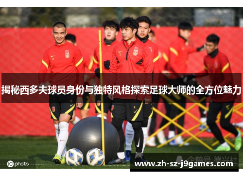 揭秘西多夫球员身份与独特风格探索足球大师的全方位魅力