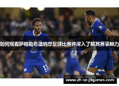 如何观看萨格勒布迪纳摩足球比赛并深入了解其赛事魅力